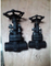 Forged steel gate valve SW end connection 800LB supplier