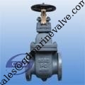 China JIS F7363 Cast iron gate valve  5k supplier