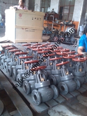 China JIS F7309 marine cast iron globe valve 16K supplier
