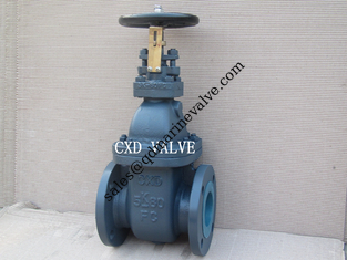 China Indonesia JIS-marine-cast Iron Gate valve F7363 5k F7364 10k F7369 In Batam supplier