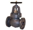 JIS F7305 Cast iron globe valve 5K, supplier