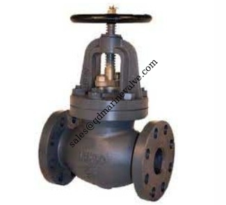 JIS F7305 Cast iron globe valve 5K, supplier